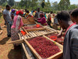 Ethiopia Guji Uraga Gogogu